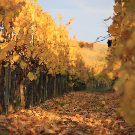 Des Dix Vins