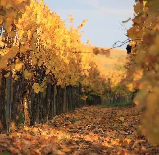 Des Dix Vins